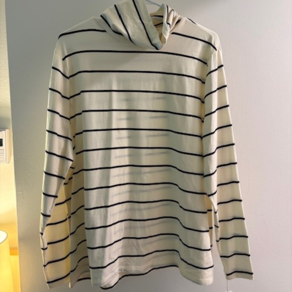 NWT Talbots Supersoft Turtleneck Tee (Plus Size 2X)